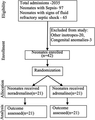 A pilot randomized controlled trial comparing noradrenaline and adrenaline as a first-line vasopressor for fluid-refractory septic shock in neonates